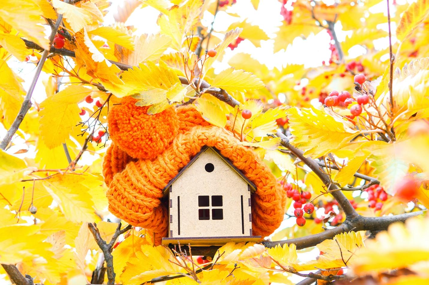 Top Home Renovation Ideas to Prepare for Fall